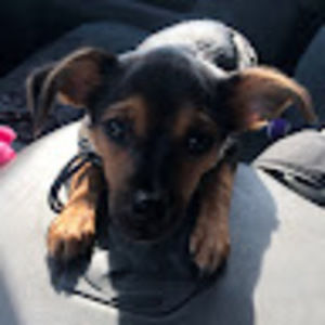 Meet your Posher, Lucylou